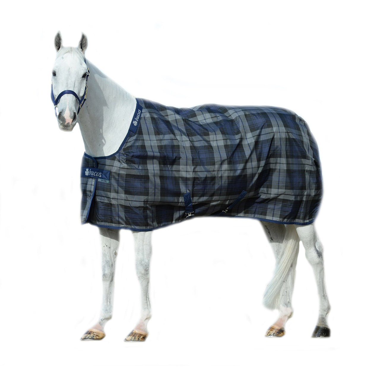 COPERTA  BUCAS CELTIC STABLE  150  SD STAY DRY LINING | Coperte e Cappucci | Coperte da Scuderia | Bucas