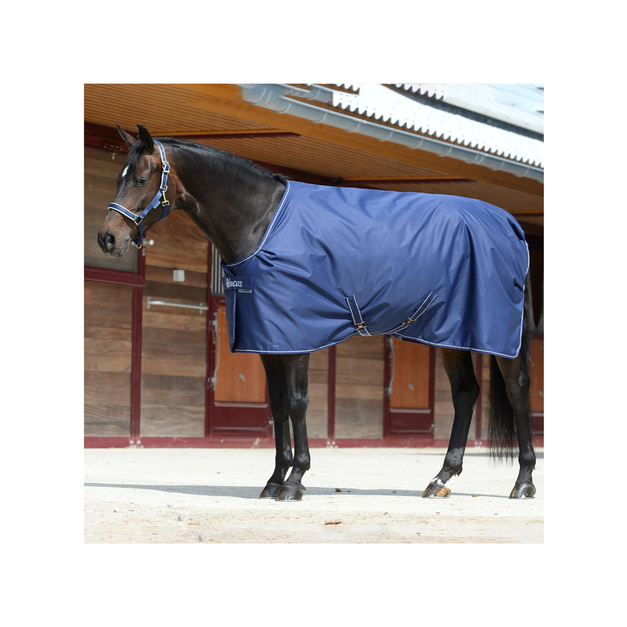 COPERTA IRISH STABLE EXTRA | Coperte e Cappucci | Coperte da Esterno | Bucas