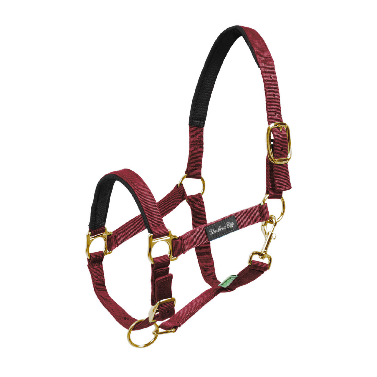 CAVEZZA IN NYLON CON RINFORZO IN NEOPRENE | Cavezze e Lunghini | Cavezze | Umbria Equitazione