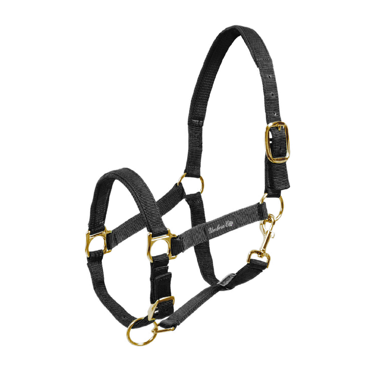 CAVEZZA IN NYLON CON RINFORZO IN NEOPRENE | Cavezze e Lunghini | Cavezze | Umbria Equitazione