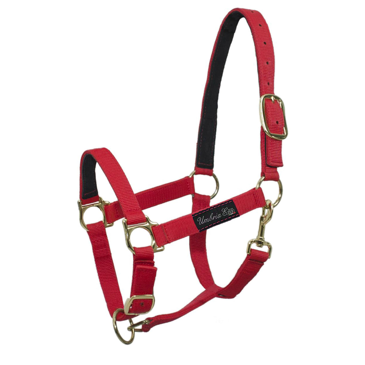 CAVEZZA IN NYLON CON RINFORZO IN PELLE | Cavezze e Lunghini | Cavezze | Umbria Equitazione