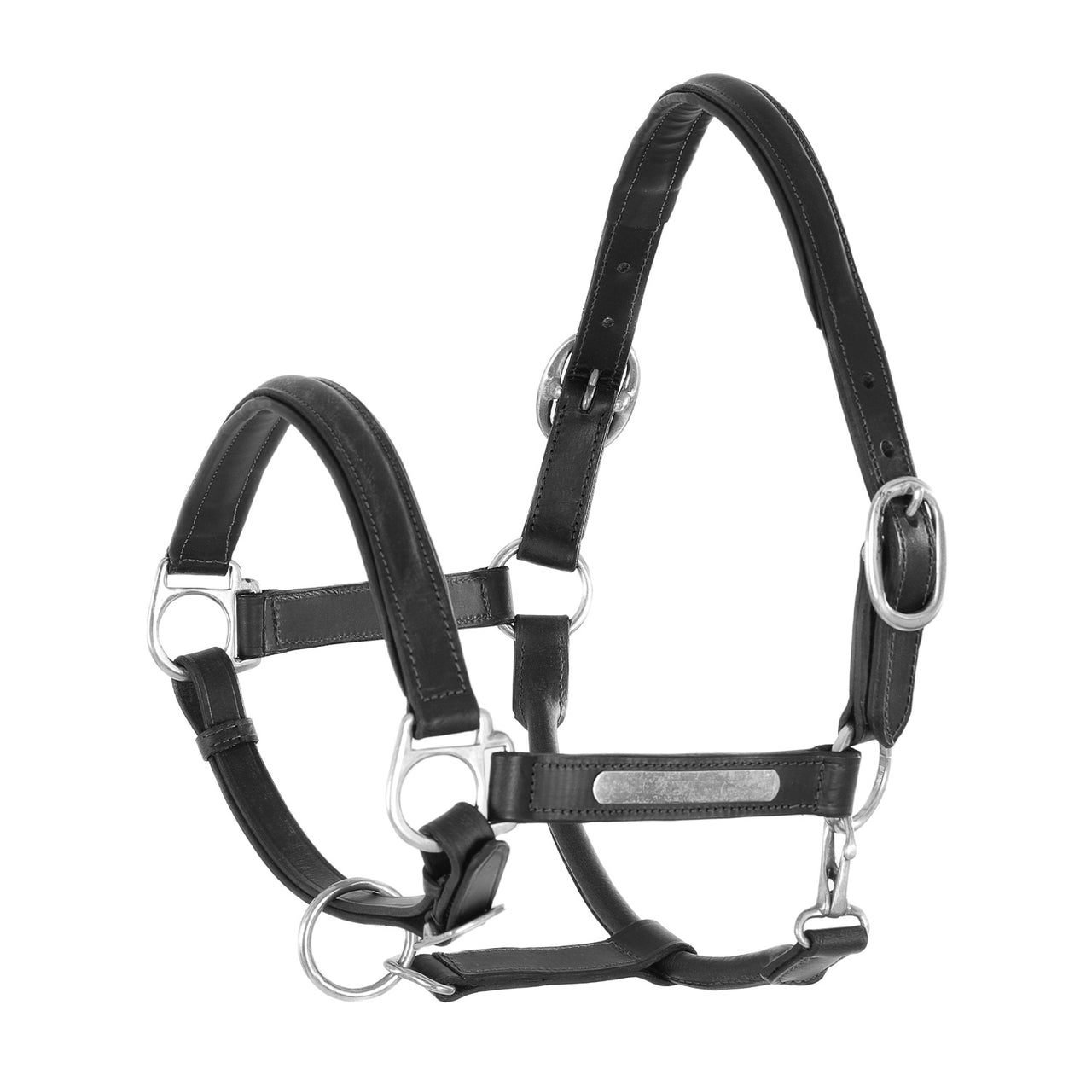 CAVEZZA CUOIO DOPPIATO FIBBIE OTTONE | Cavezze e Lunghini | Cavezze | Umbria Equitazione