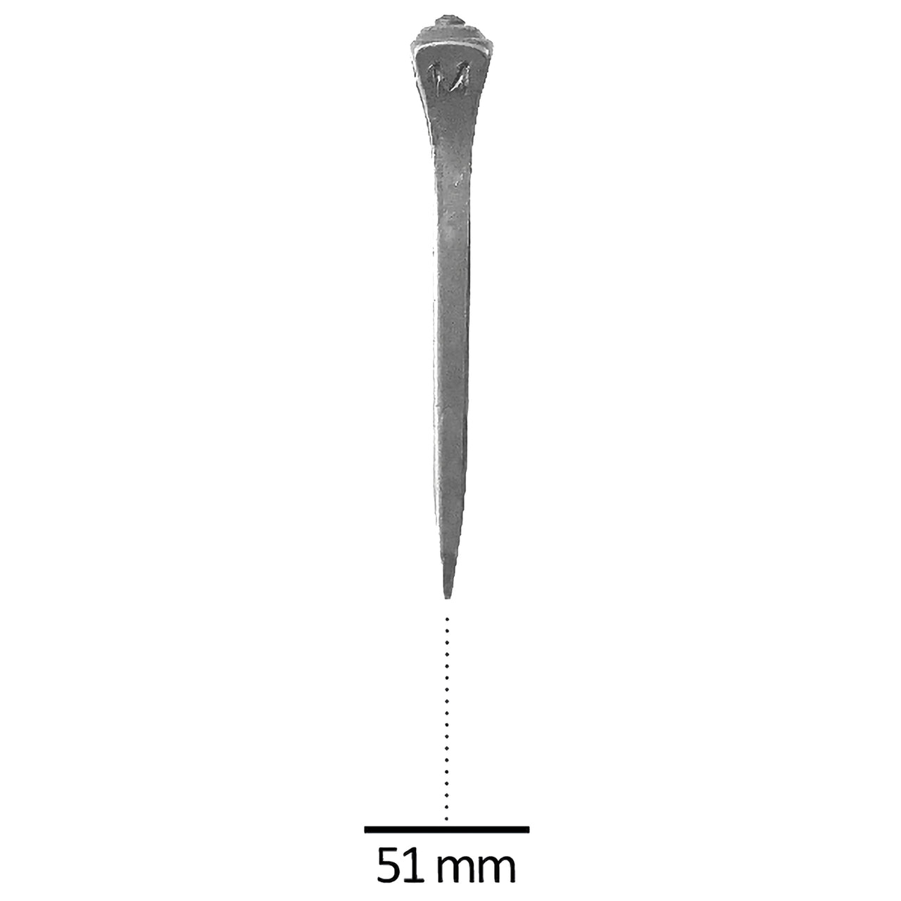 CHIODI ANTISCIVOLO 50 PZ VF5 | Mascalcia | Chiodi | Mordax
