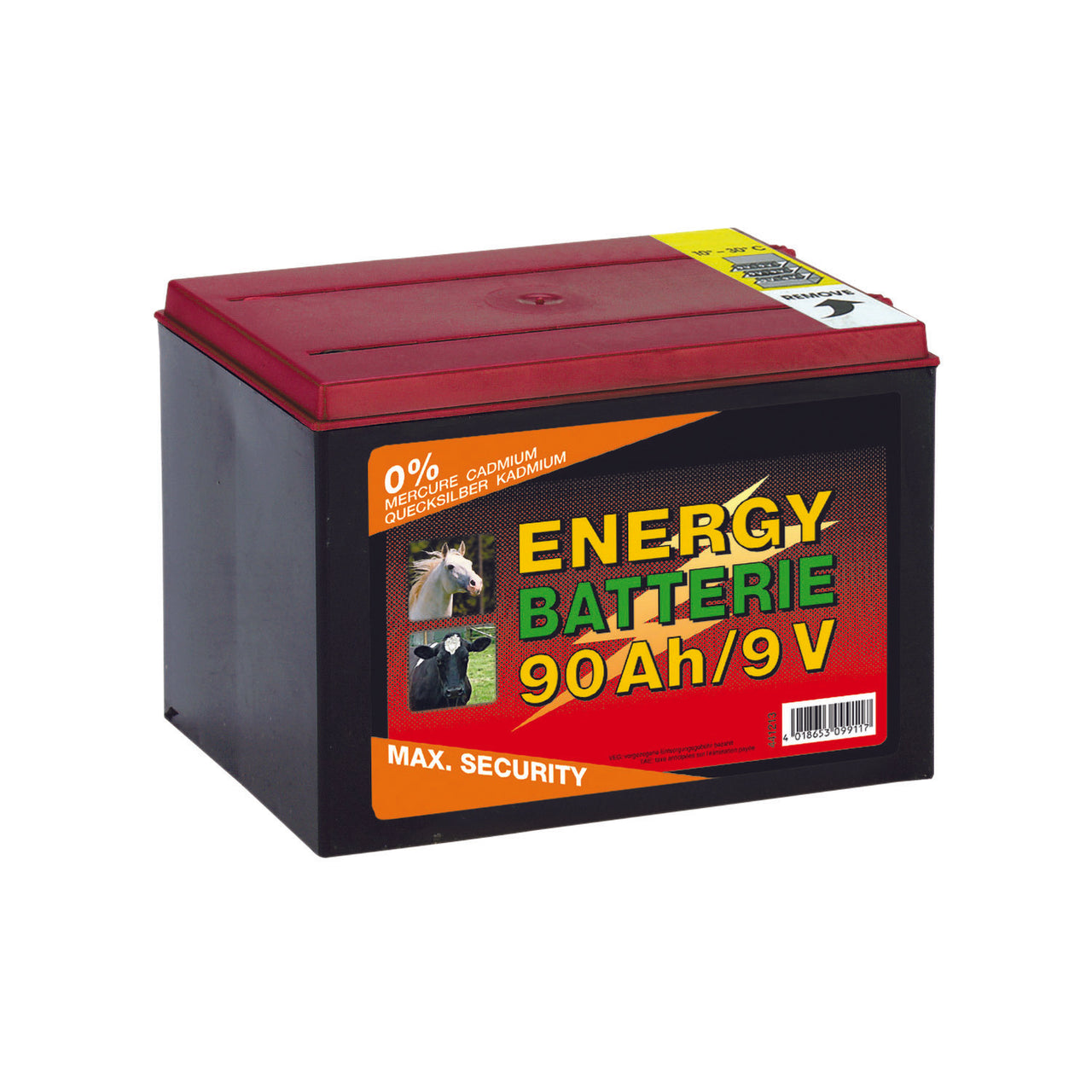 BATTERIA 10000H | Recinti Elettrici e Accessori | Recinti Elettrici e Accessori | Corral