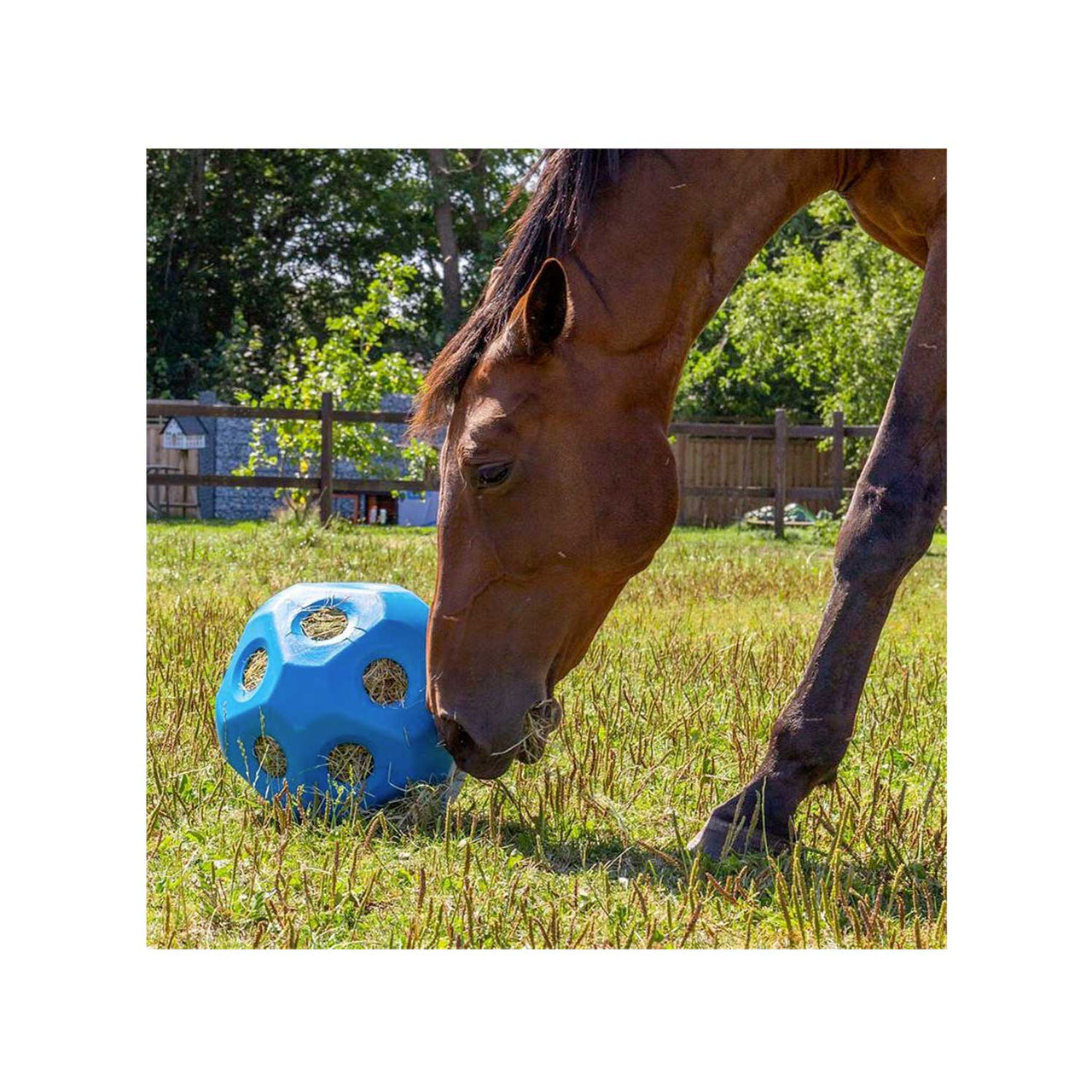 FEED BALL TOY BLUE | Cura del Cavallo | Benessere e Recupero | Kerbl