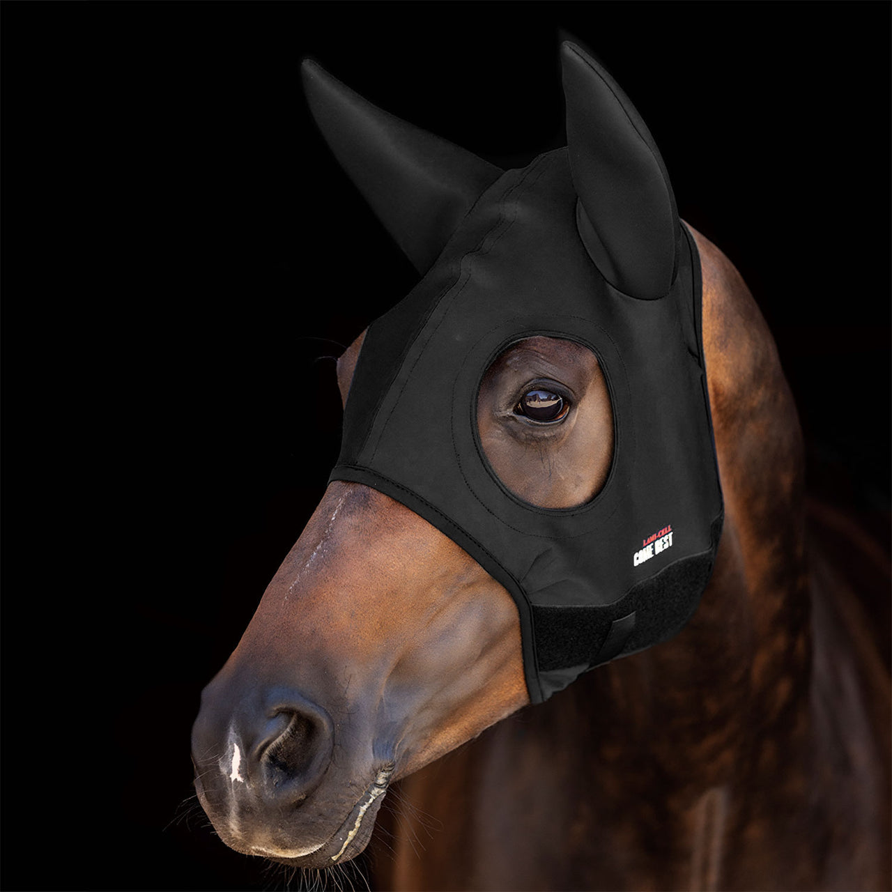 TITANIUM MASK COME BEST WITH EARS | Maschere e Coperte Antimosche | Maschere e Coperte Antimosche | Lami-Cell