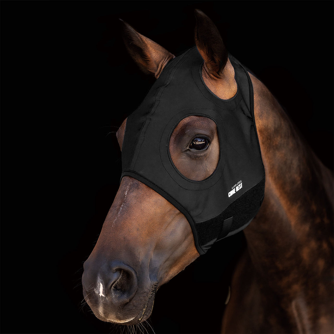 TITANIUM MASK COME BEST NO EARS | Maschere e Coperte Antimosche | Maschere e Coperte Antimosche | Lami-Cell