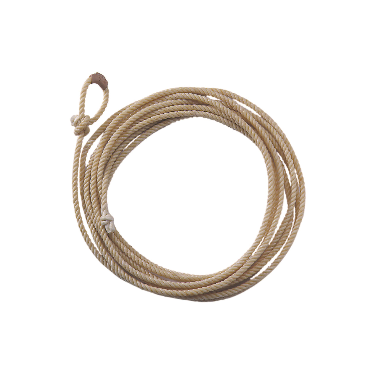 Lazo professionale cerato 35"
 | Accessori | Accessori | Pool's