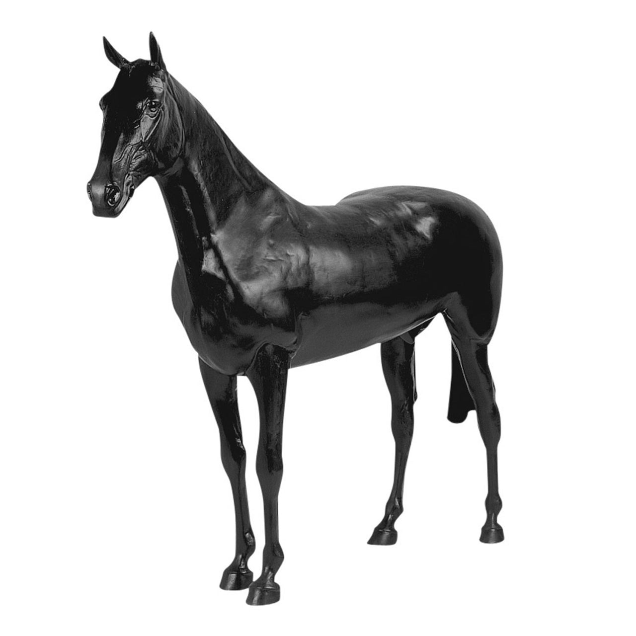 LIFE SIZE DISPLAY HORSE | Attrezzature varie | Attrezzature Varie | Umbria Equitazione