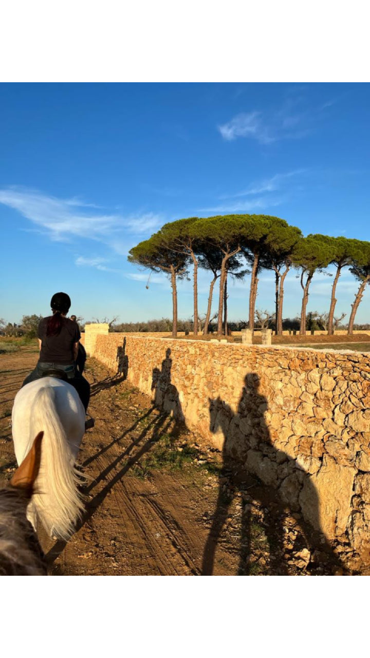 A cavallo tra natura, radici e futuro: il turismo equestre si fa (anche) digitale