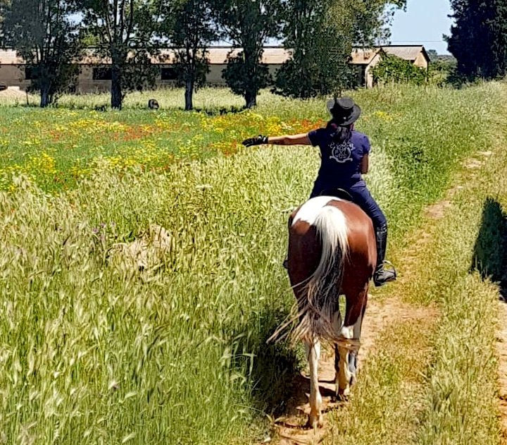 Un turbine di emozioni tra sella e natura. Una giornata tipo dedicata al turismo equestre