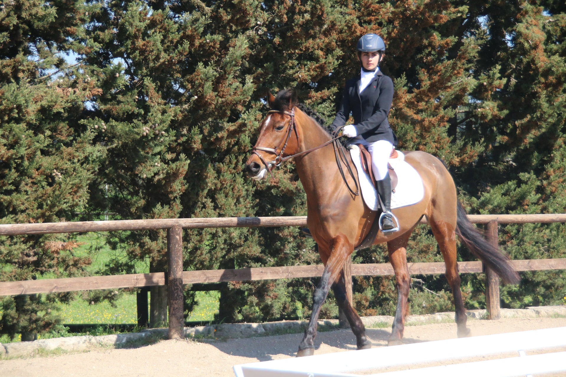 Il giorno in cui ho capito che non avevo più una figlia… ma un'amazzone!