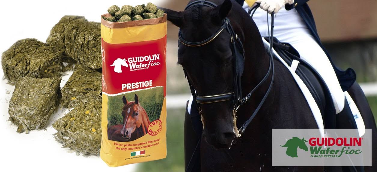 WaferFioc® Prestige