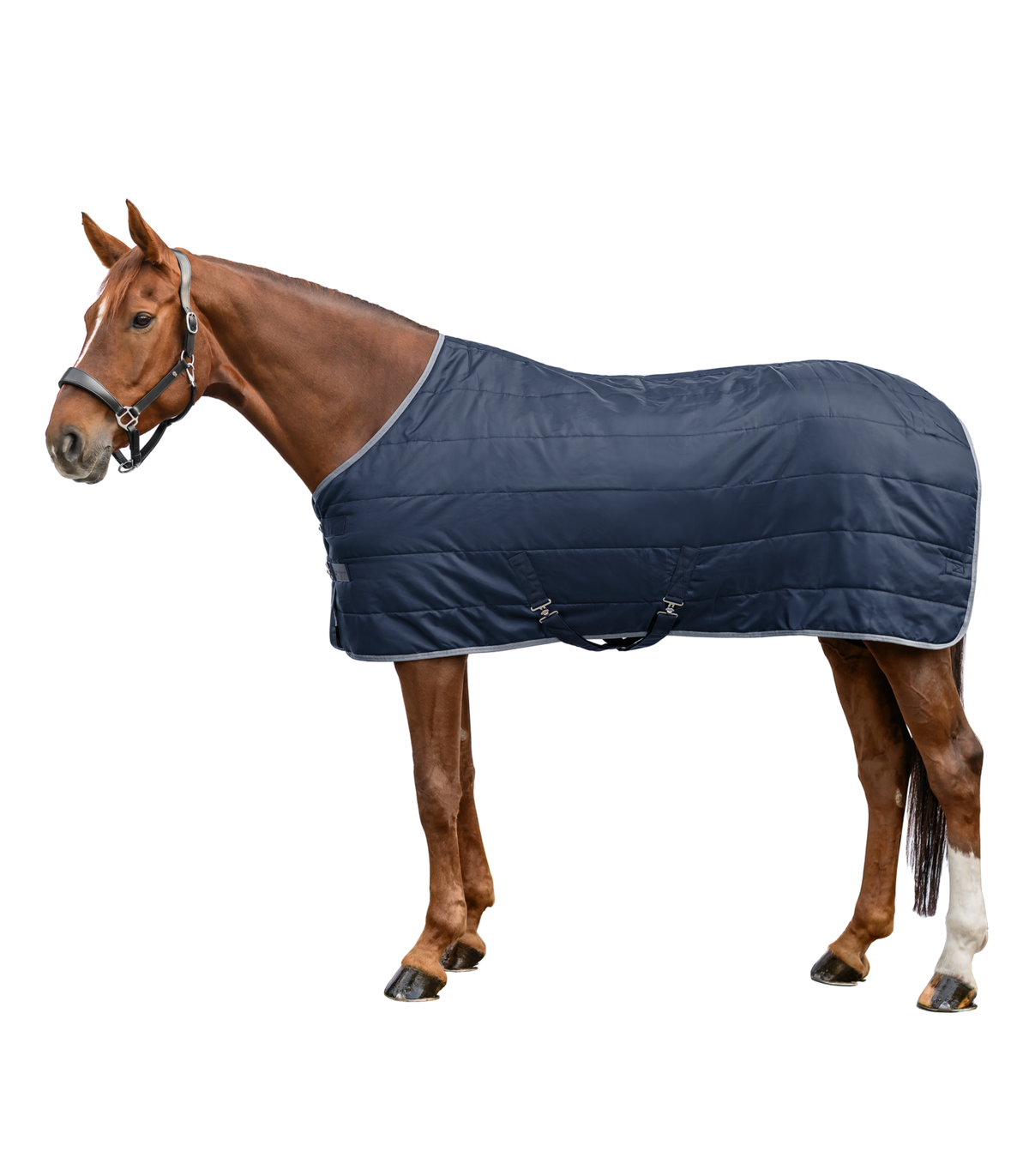 WALDHAUSEN - Coperta da scuderia ECONOMIC, 100 g