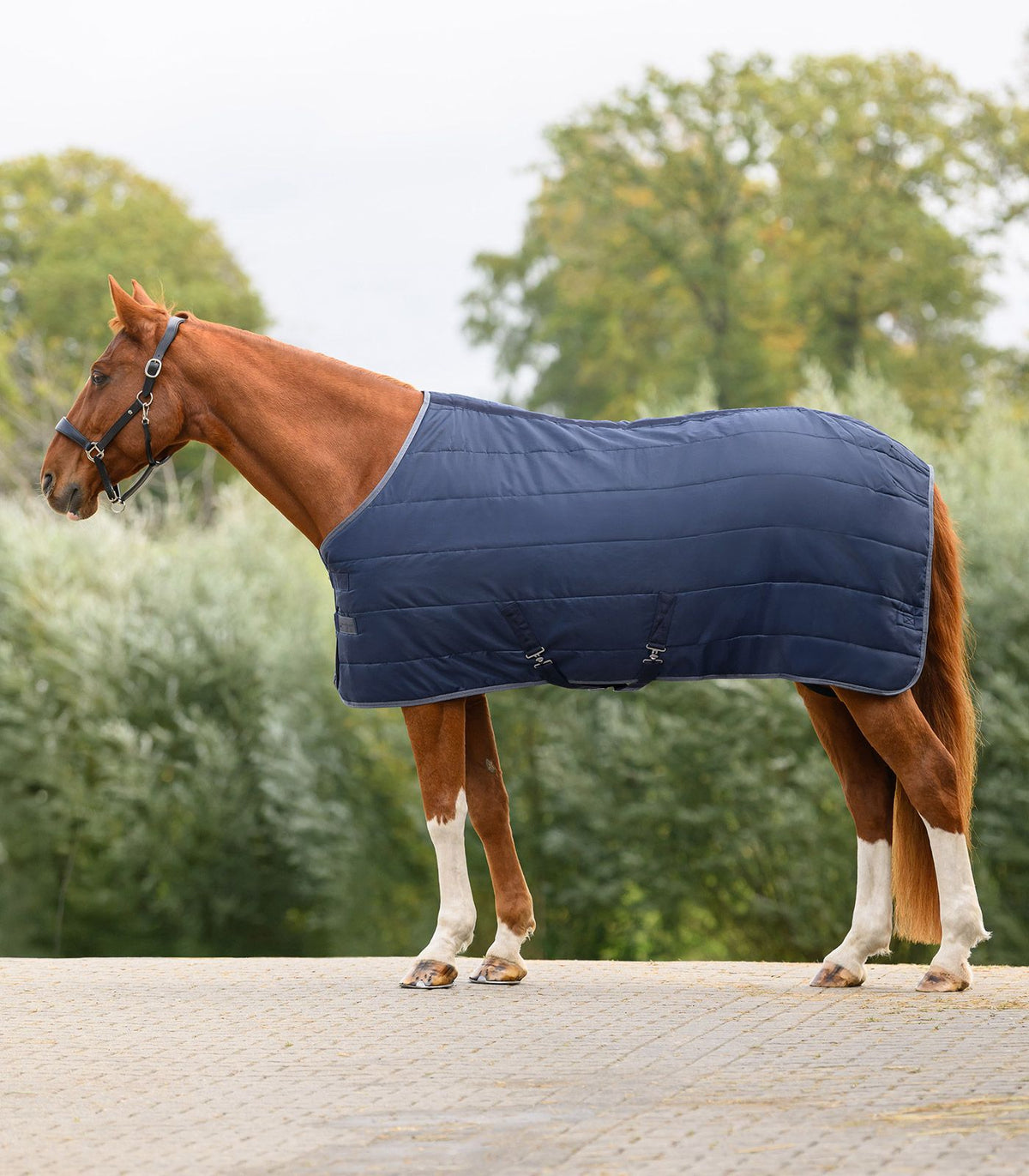 WALDHAUSEN - Coperta da scuderia ECONOMIC, 100 g