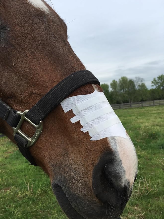 FLAIR - Equine Nasal Strip - BLACK