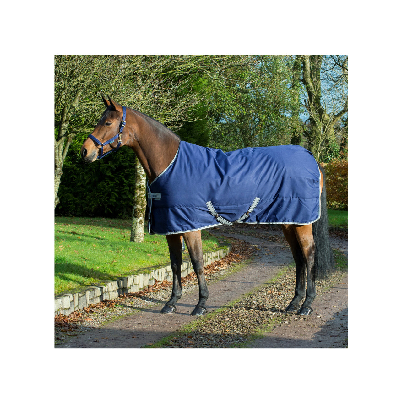 COPERTA FREEDOM STABLE 300 | Coperte e Cappucci | Coperte da Esterno | Bucas