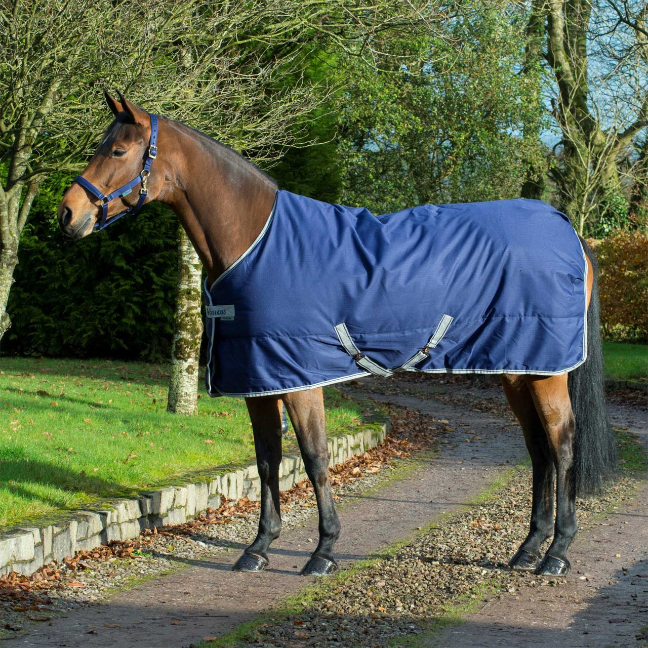 COPERTA FREEDOM STABLE 300 | Coperte e Cappucci | Coperte da Esterno | Bucas