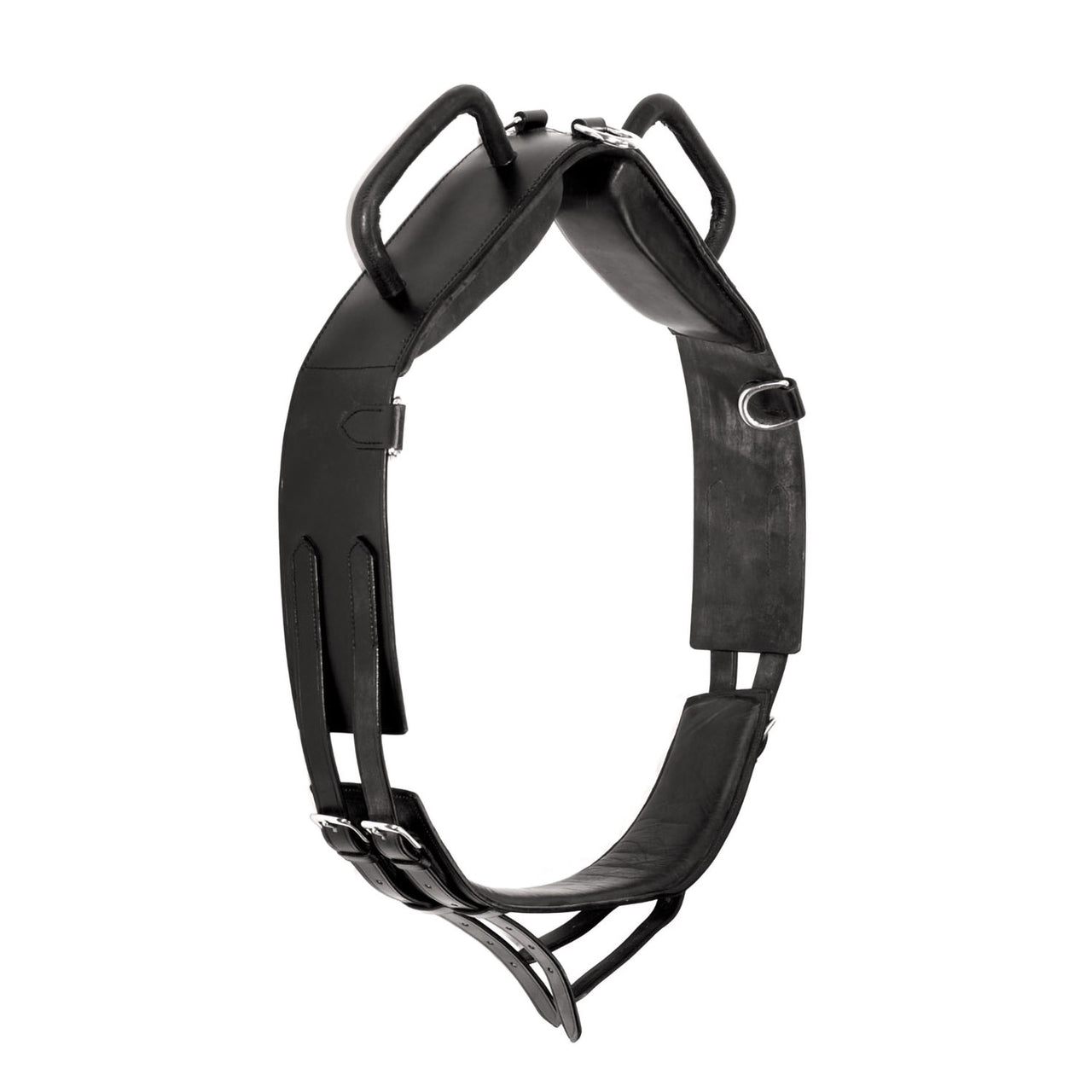 FASCIONE DA VOLTEGGIO IN CUOIO | Accessori da Doma | Accessori da Doma | Supreme