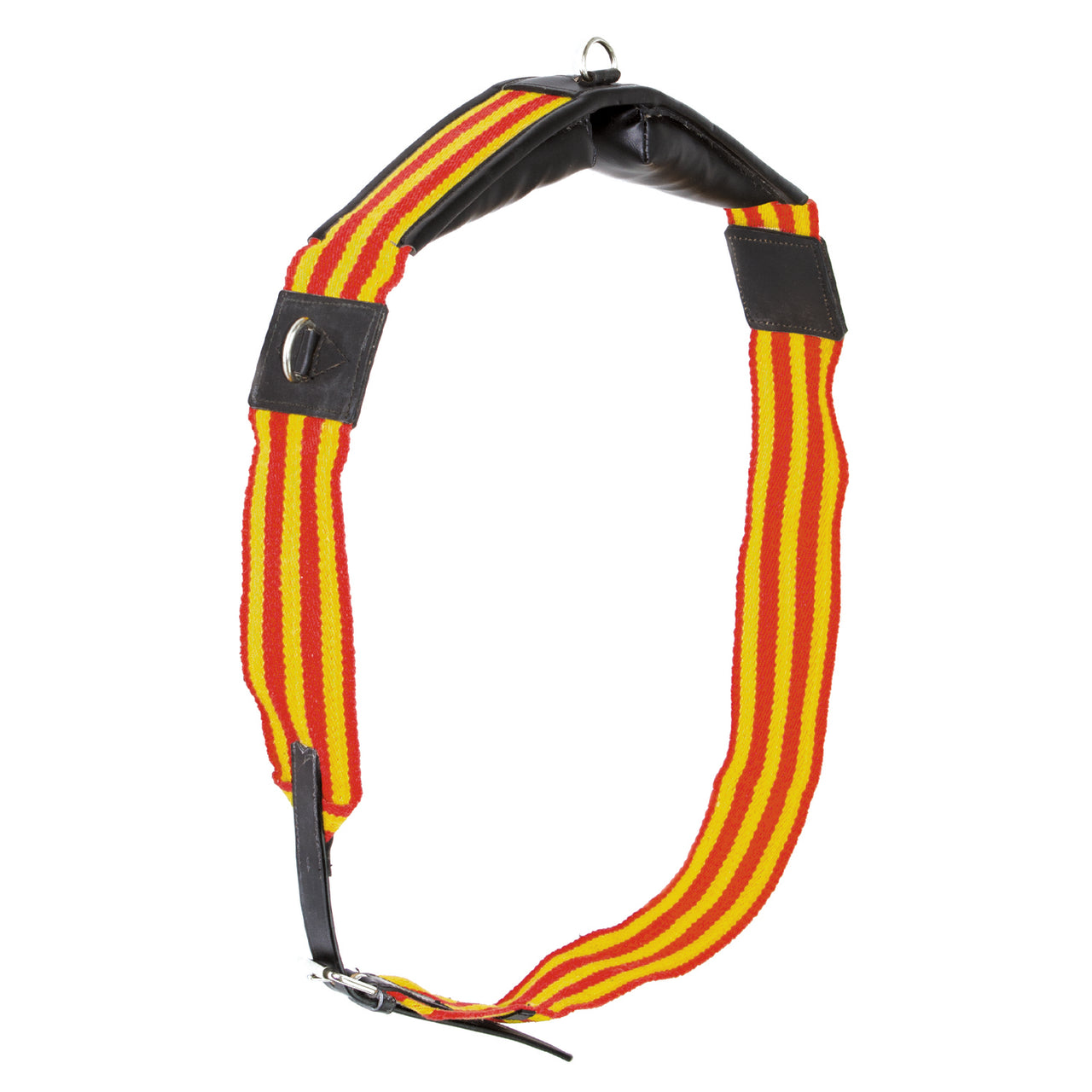 FASCIONE IN CUOIO C/ANELLI | Accessori da Doma | Accessori da Doma | Umbria Equitazione