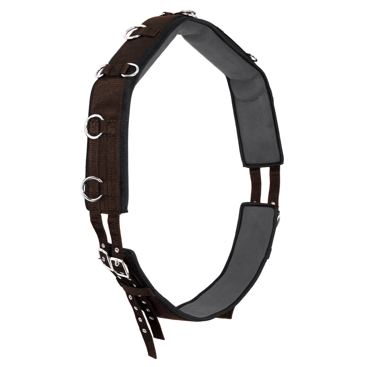 FASCIONE DOMA IN NYLON/NEOPRENE | Accessori da Doma | Accessori da Doma | Umbria Equitazione