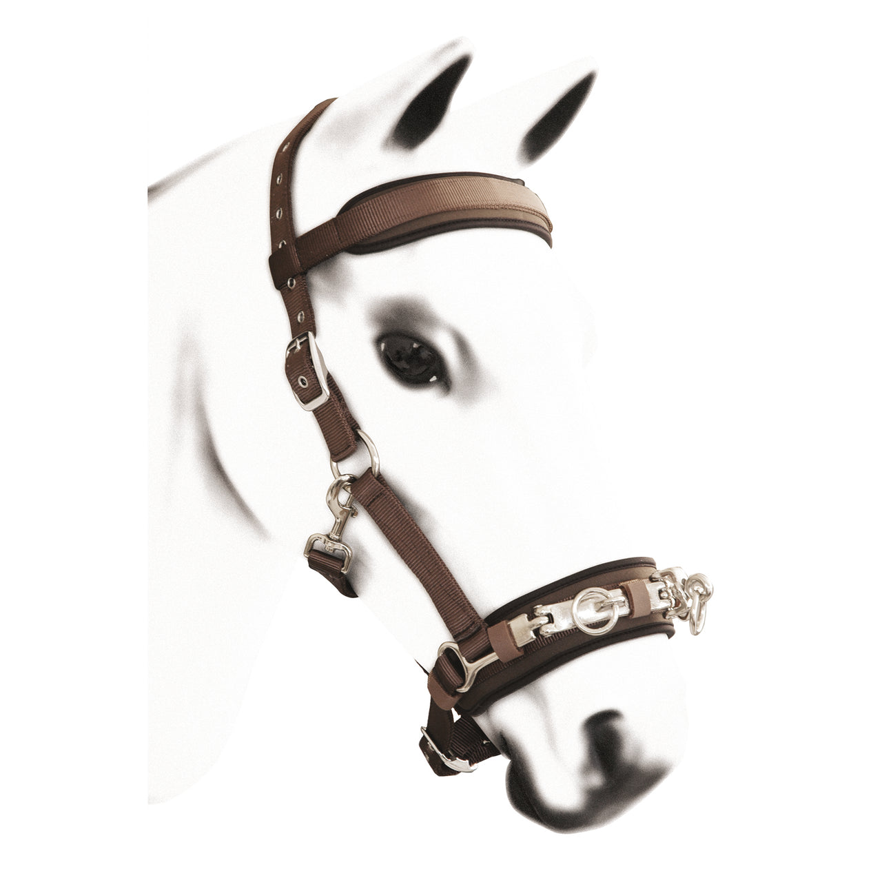 CAVEZZONE DOMA IN NYLON | Accessori da Doma | Accessori da Doma | Umbria Equitazione