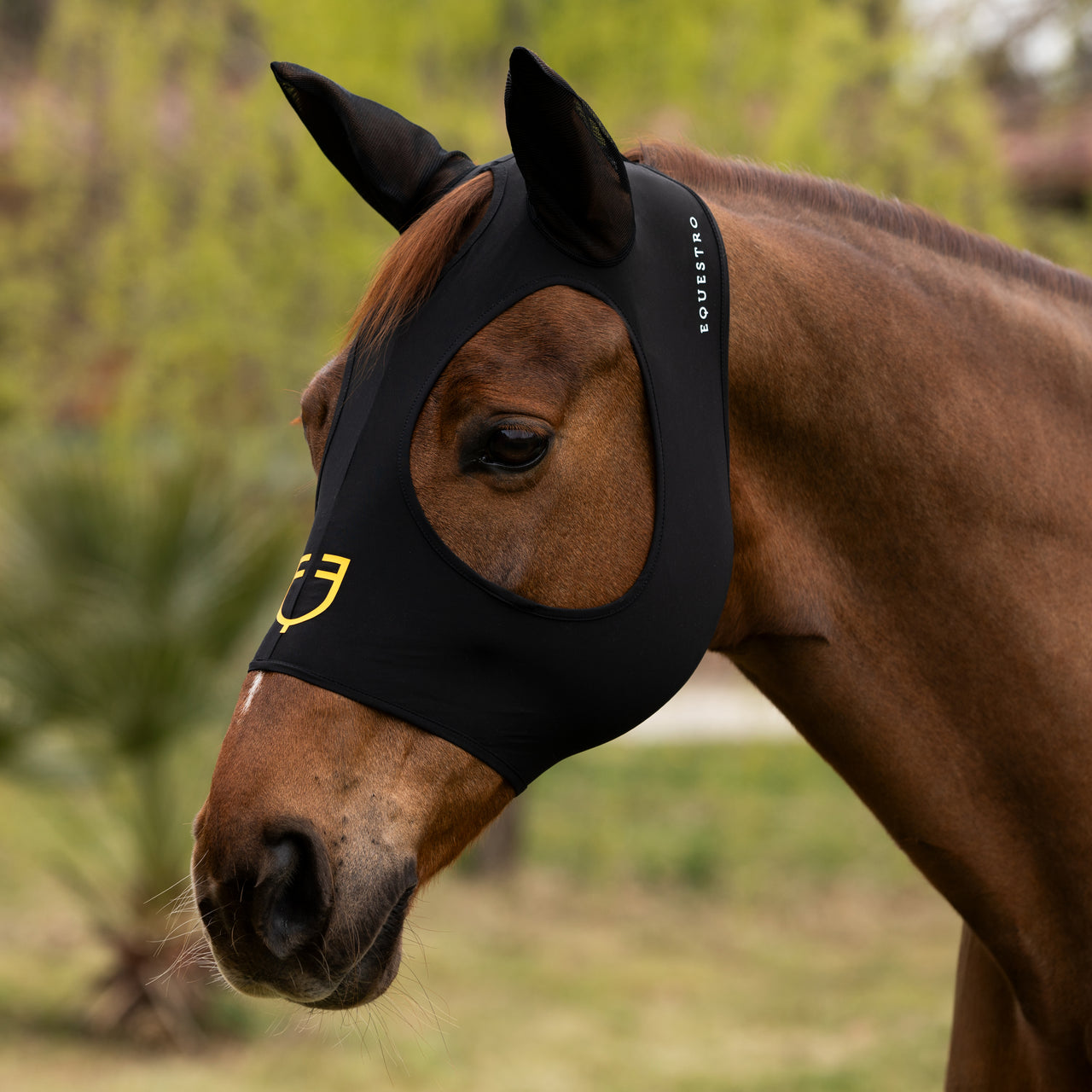 Maschera antimosche in elastan senza rete occhi | Maschere e Coperte Antimosche | Maschere e Coperte Antimosche | Equestro