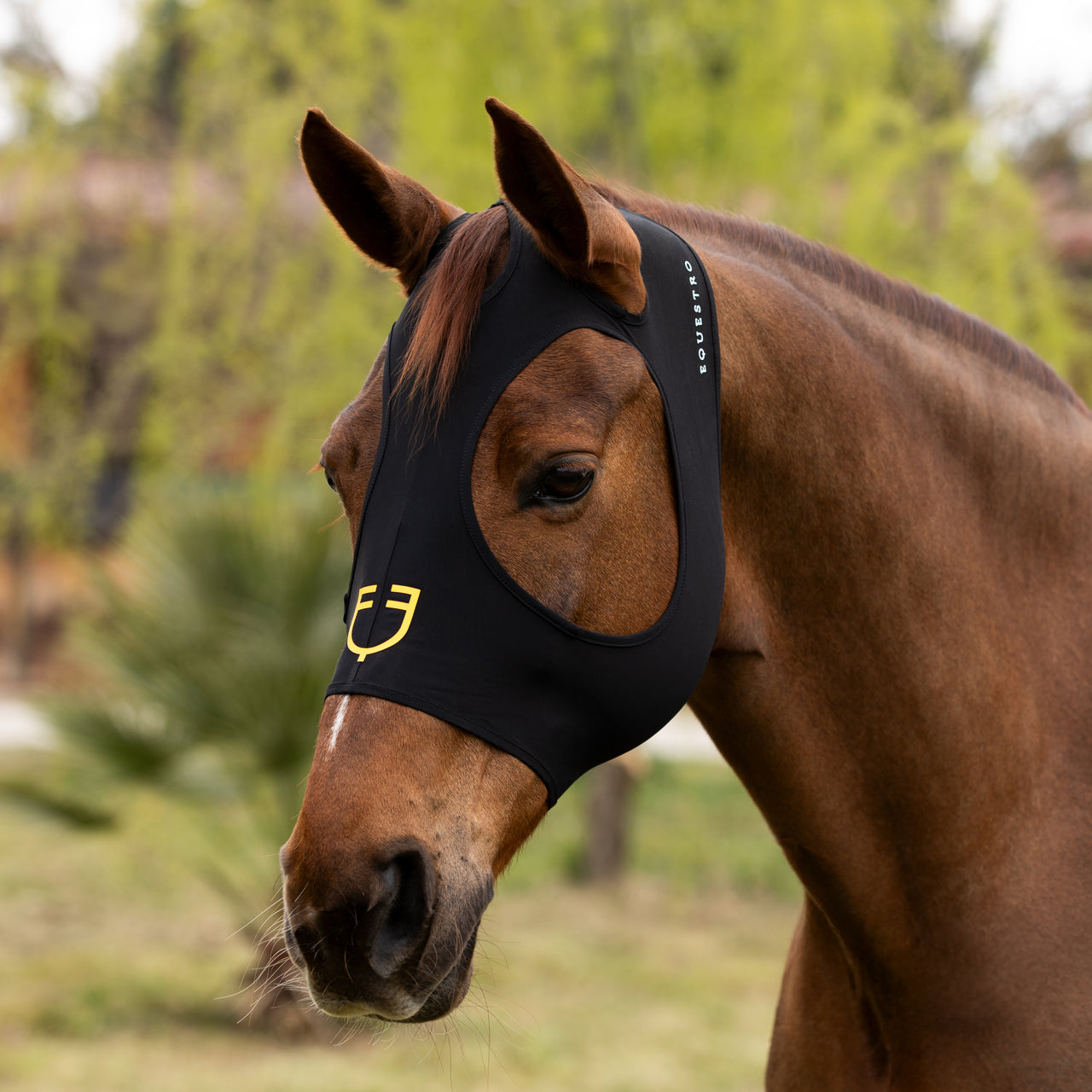 Maschera antimosche elastane senza rete occhi e orecchie | Maschere e Coperte Antimosche | Maschere e Coperte Antimosche | Equestro