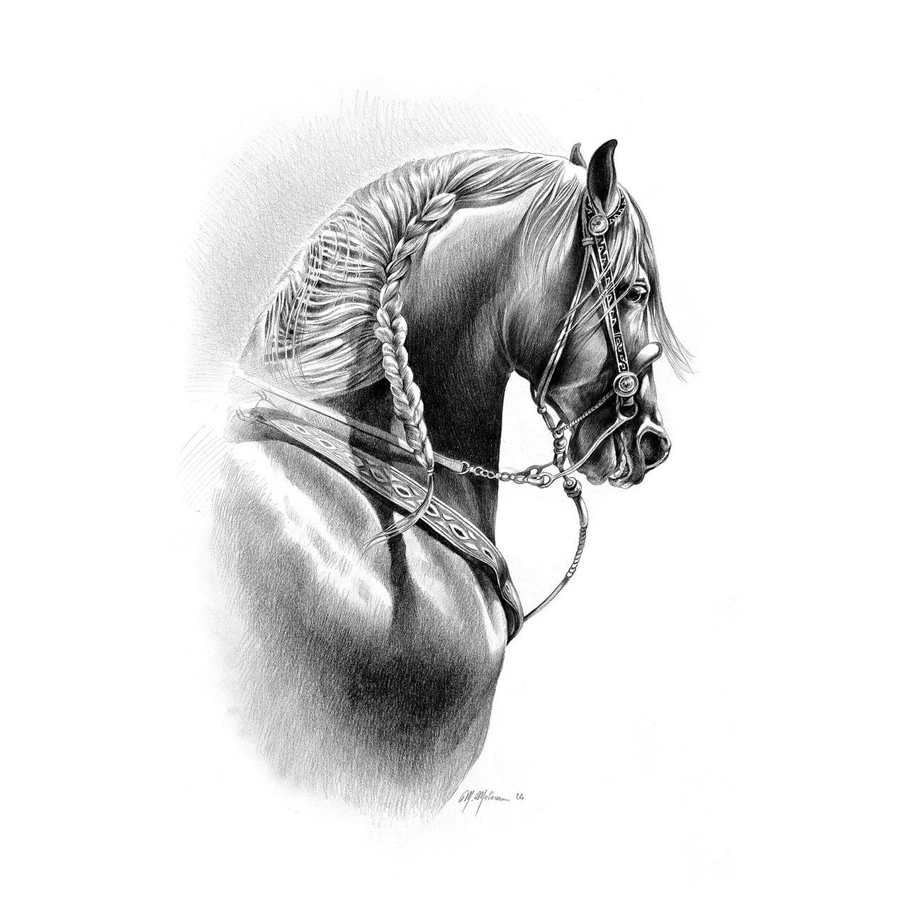 STAMPA SOGGETTI EQUESTRI | Attrezzature varie | Stampe Equestri | Umbria Equitazione