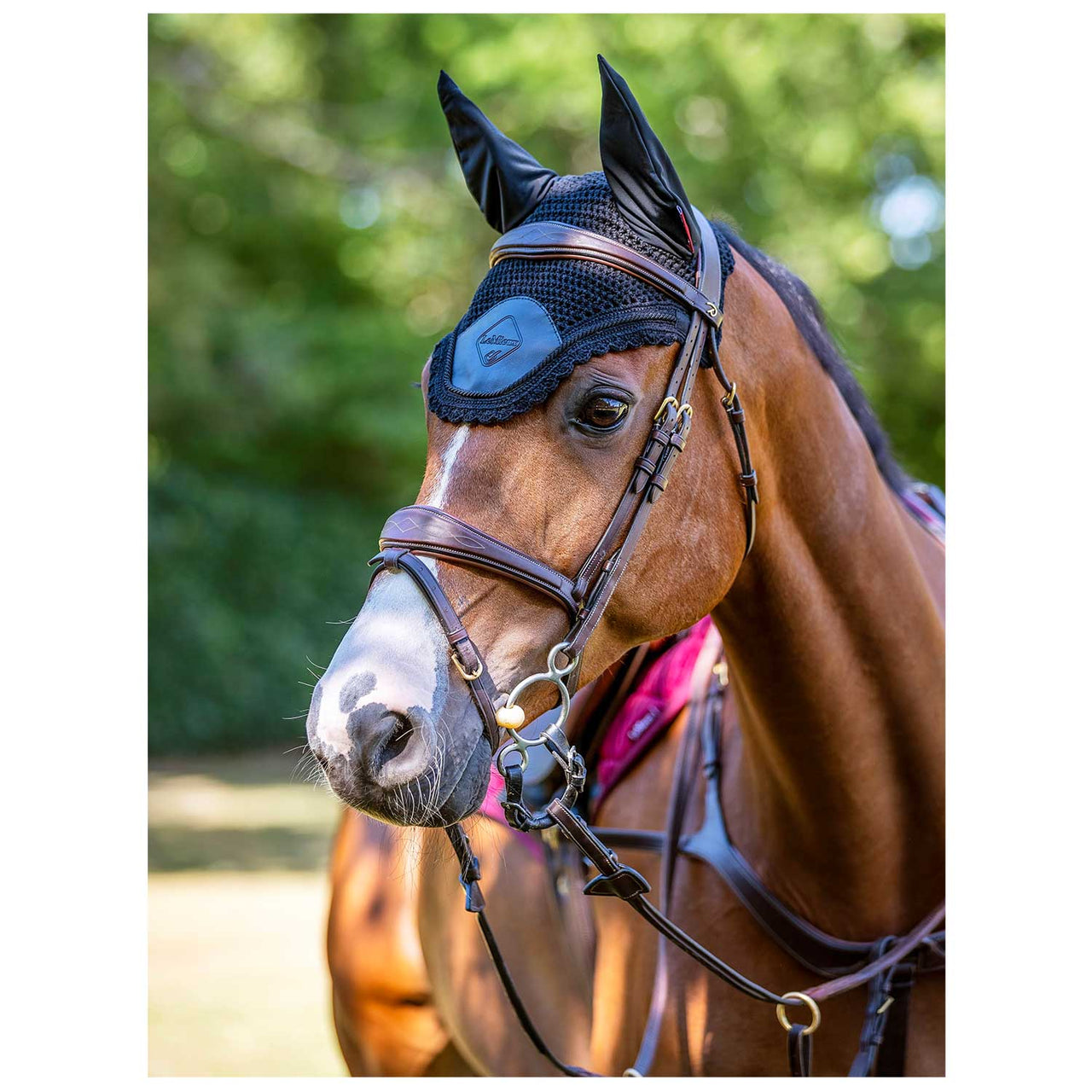 ELITE FLY HOOD BLACK | Sottosella e Accessori | Veli Antimosche | LeMieux