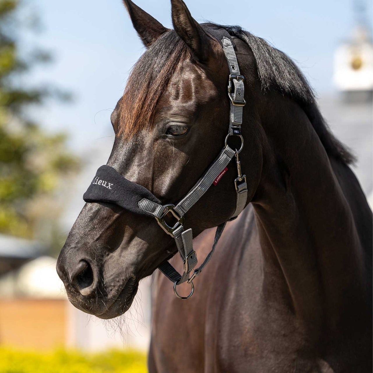VOGUE HEADCOLLAR & LEADROPE BLACK | Cavezze e Lunghini | Cavezze | LeMieux