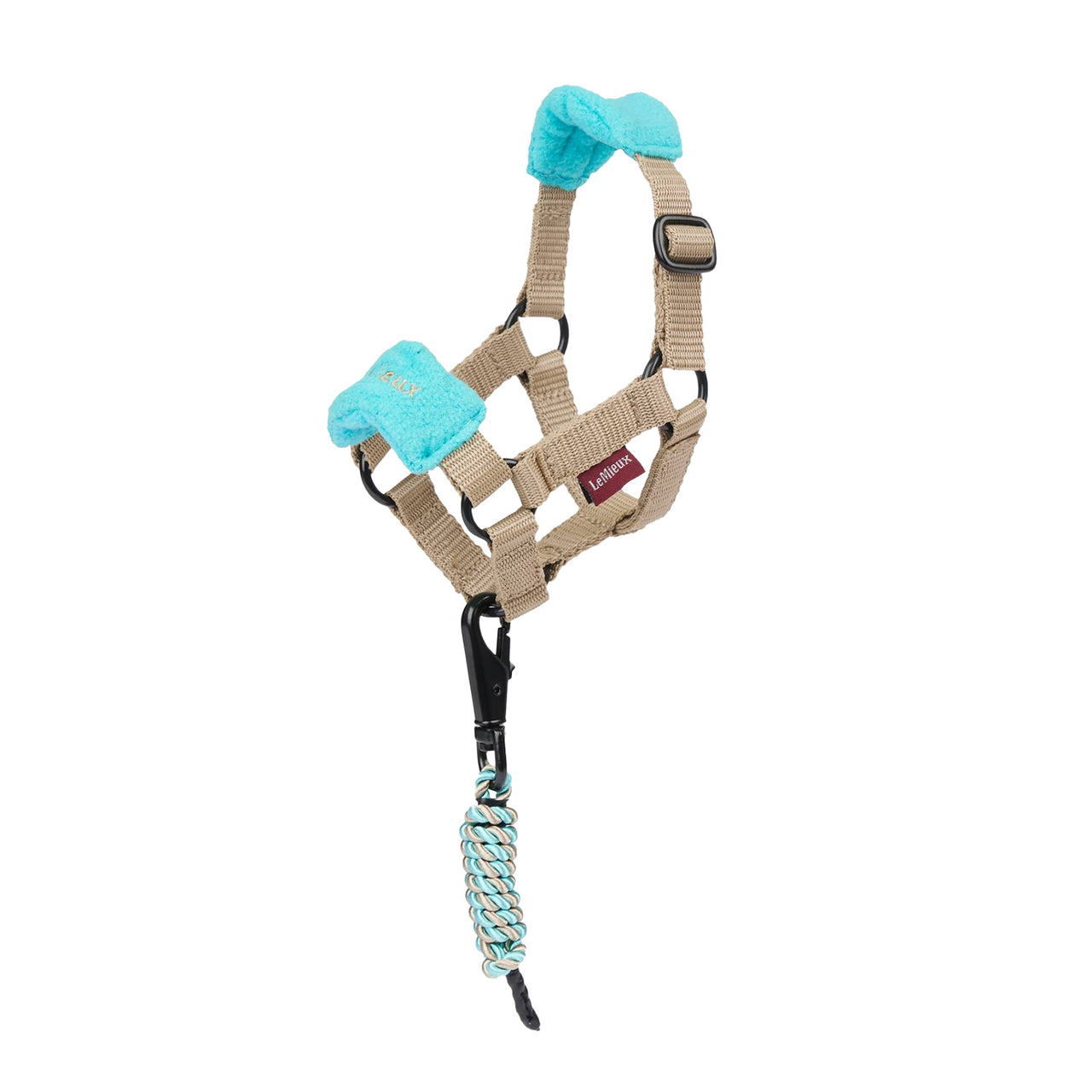 TOY PONY VOGUE HEADCOLLAR AZURE |  |  | LeMieux