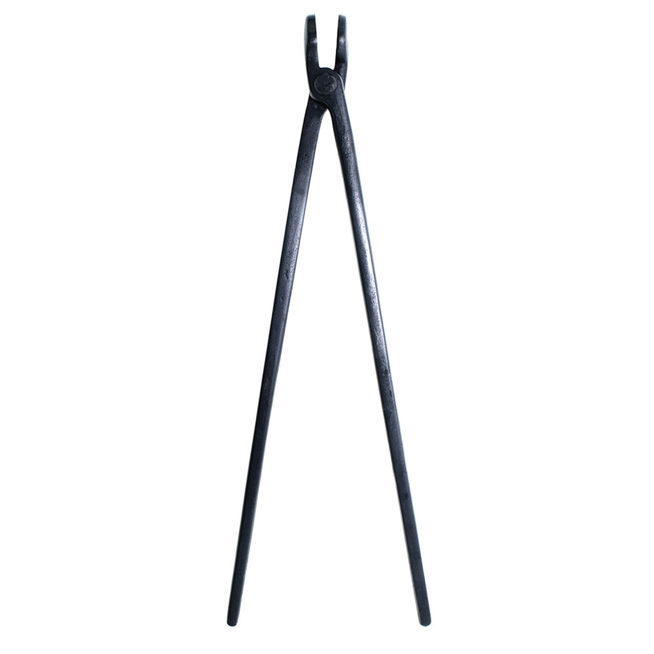 TENAGLIA FORGIA FORGET | Mascalcia | Strumenti mascalcia | Forget