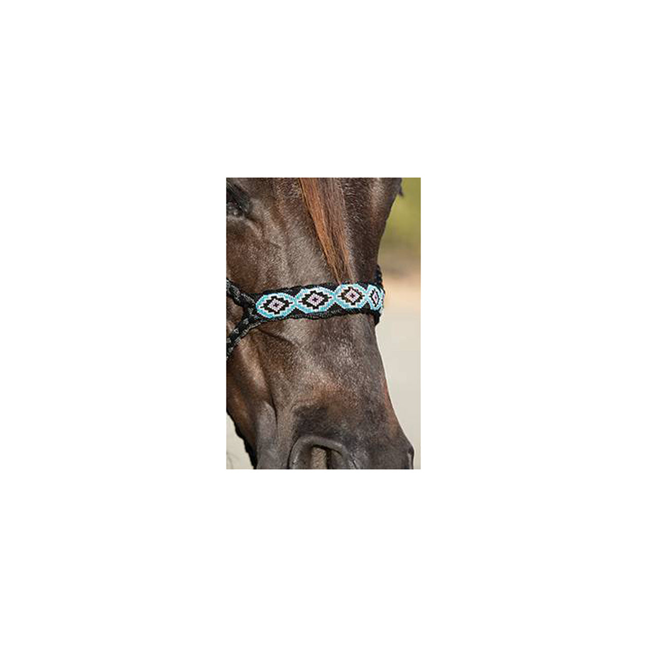 COWBOY BRAIDED HALTER | Cavezze e Lunghini | Cavezze | Professional's Choice