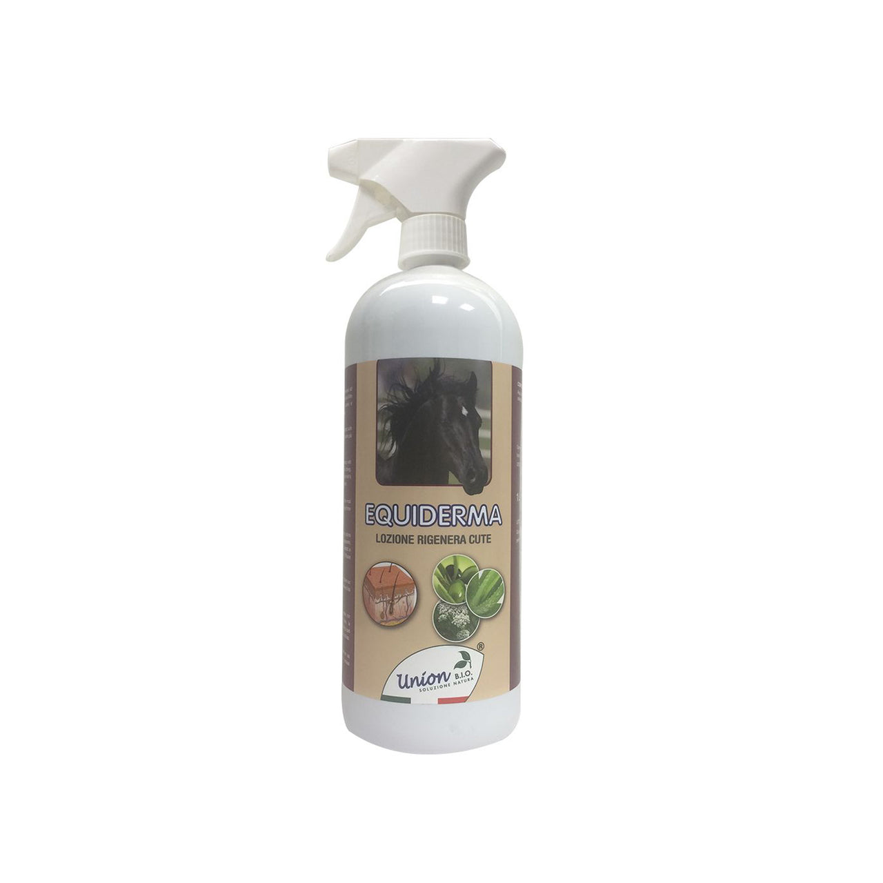 EQUIDERMA (1 LT)  | Cura del Cavallo | Benessere e Recupero | Umbria Equitazione