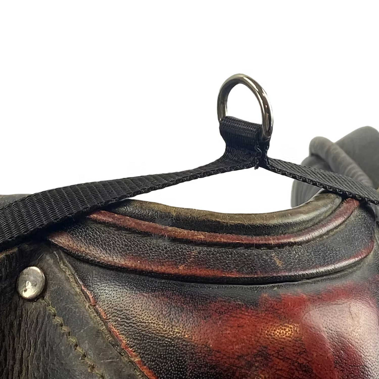 CINGHIA PER SELLA | Protezioni | Protezioni | Segura