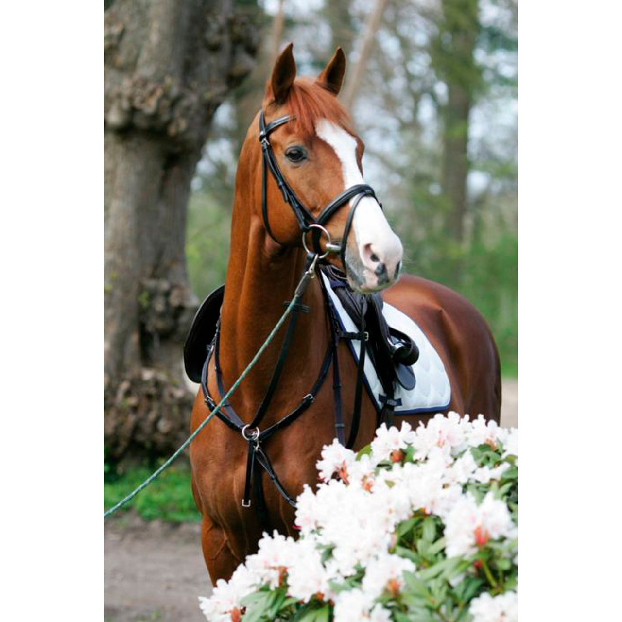 BREASTPLATE SIDE FIT WITH RUNNING ATTACHMENT | Martingale e Pettorali | Pettorali | Stubben