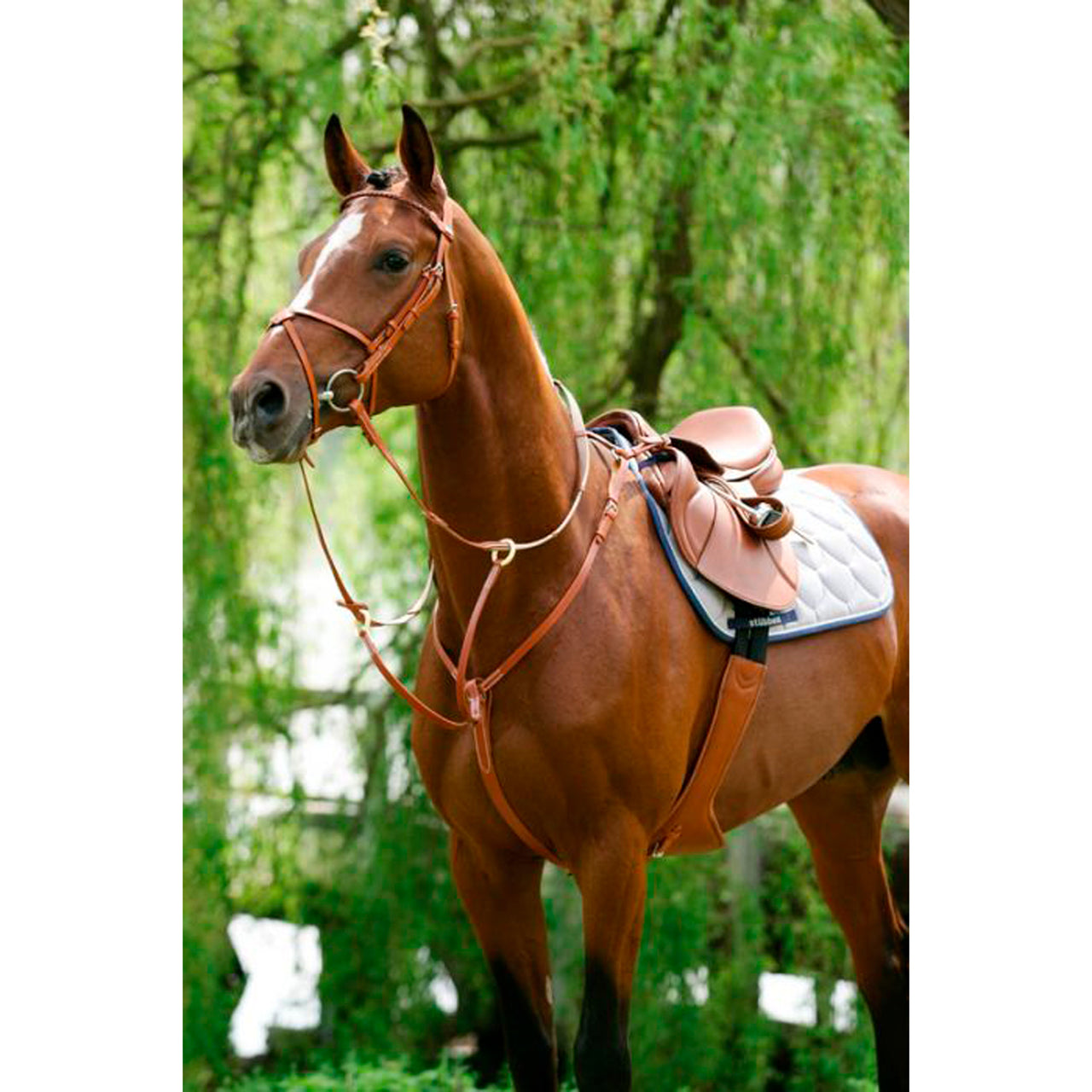 BREASTPLATE WITH RUNNING ATTACHMENT | Martingale e Pettorali | Pettorali | Stubben