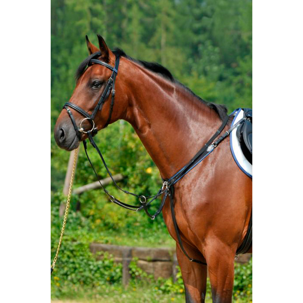 BREASTPLATE WITH ELASTIC AND RUNNING ATTACHMENT | Martingale e Pettorali | Pettorali | Stubben