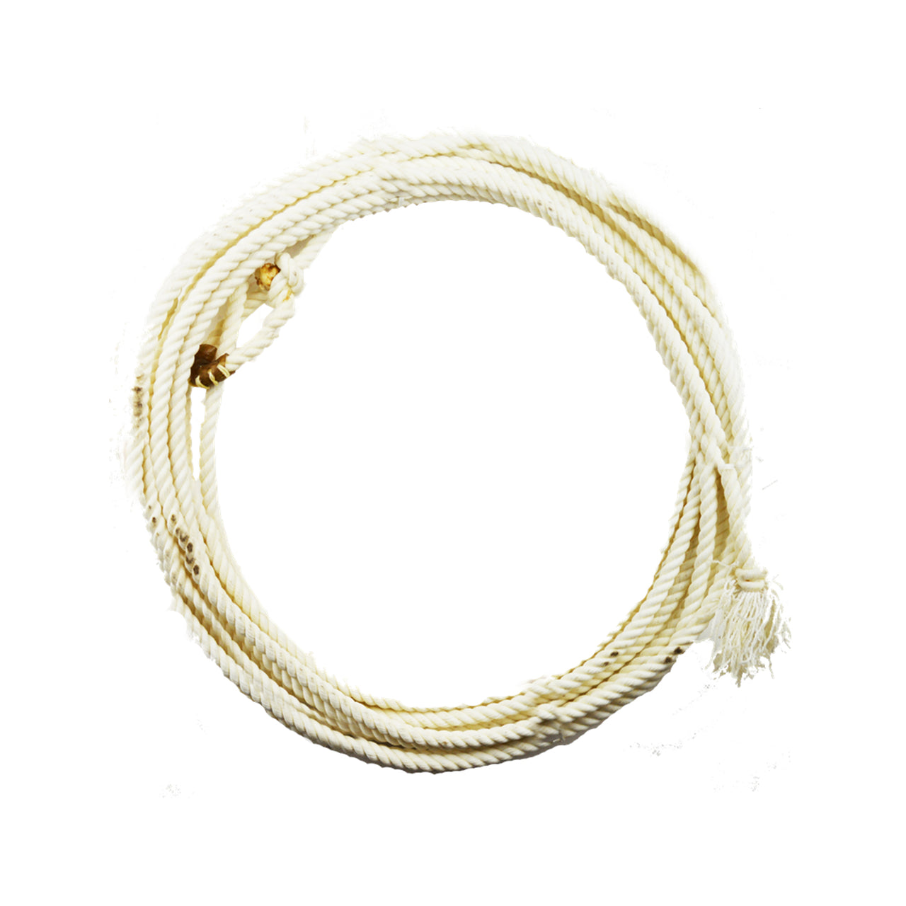 LAZO CERATO MODELLO "CLASSIC WAX" SIZE 40" | Accessori | Accessori | Pool's