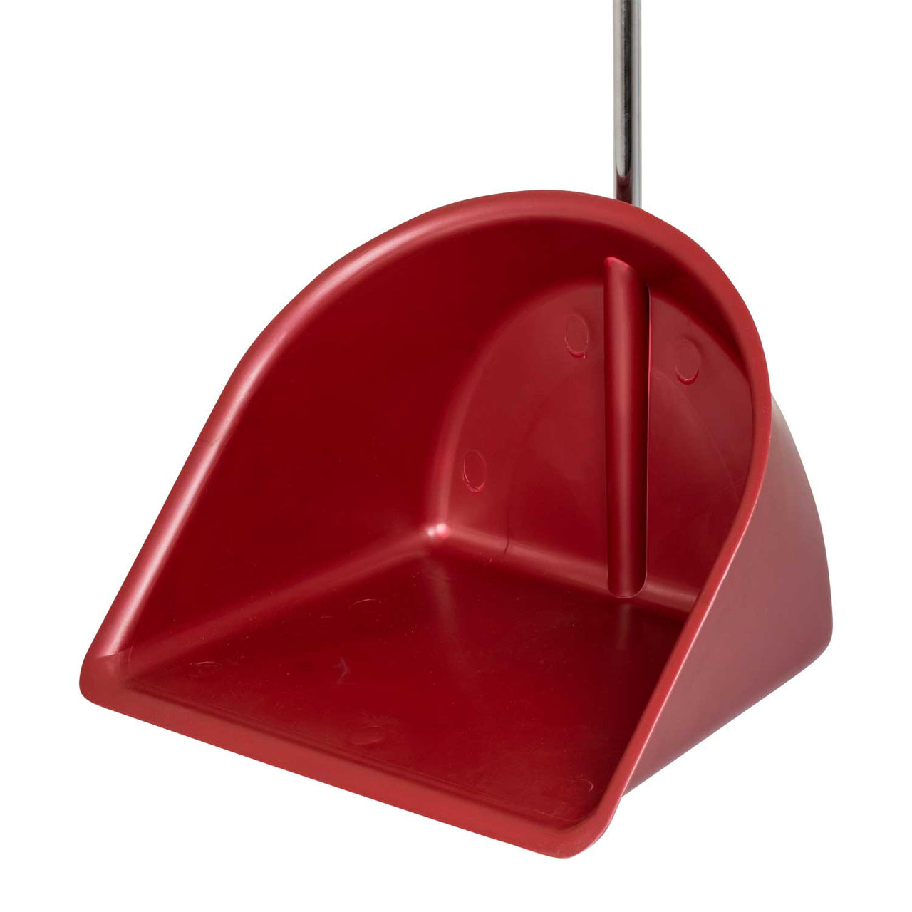 PATTUMIERA IN PLASTICA | Attrezzi Scuderia | Pulizia Scuderia | Umbria Equitazione