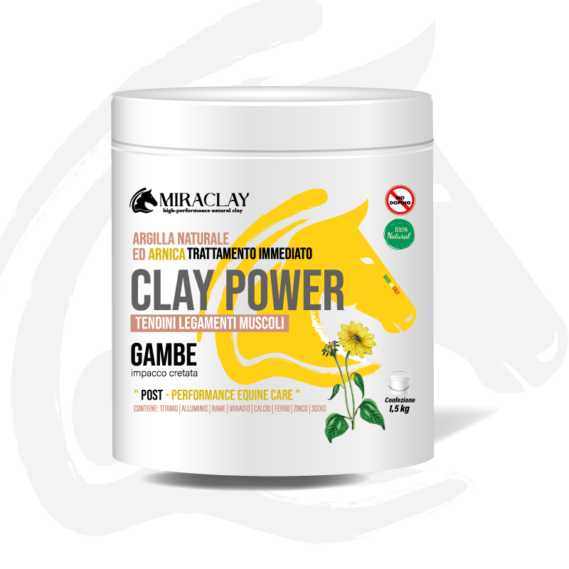 Miraclay - Arnica Argilla ClayPower 1.5kg